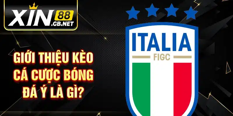 Giới thiệu kèo cá cược bóng đá ý là gì?