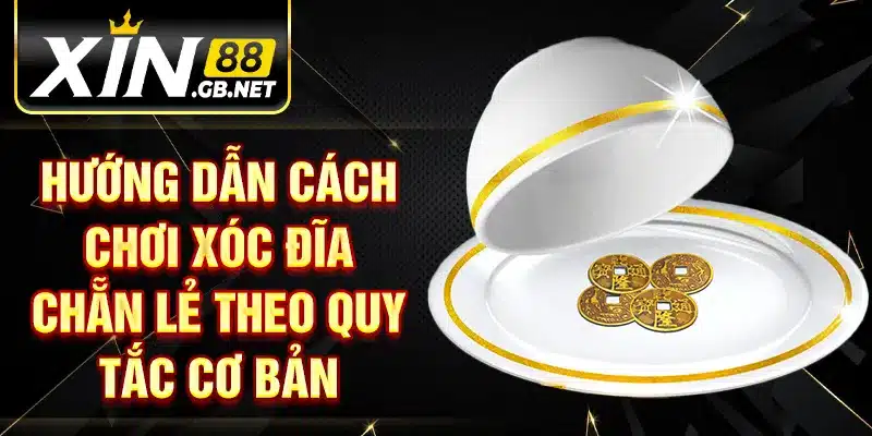 Hướng dẫn cách chơi xóc đĩa chẵn lẻ theo quy tắc cơ bản