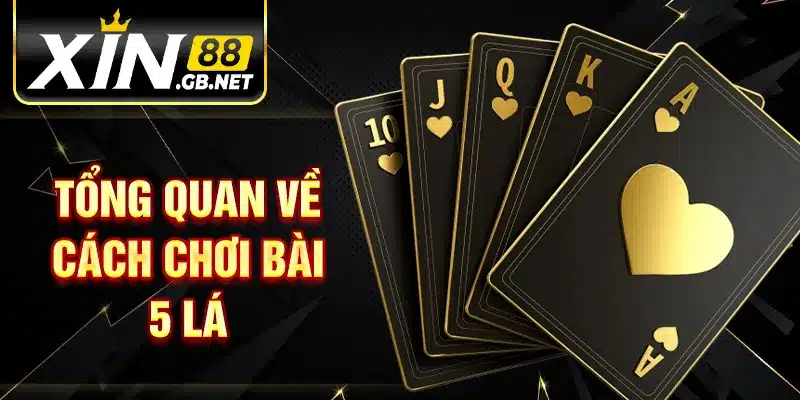 Tổng quan về cách chơi bài 5 lá