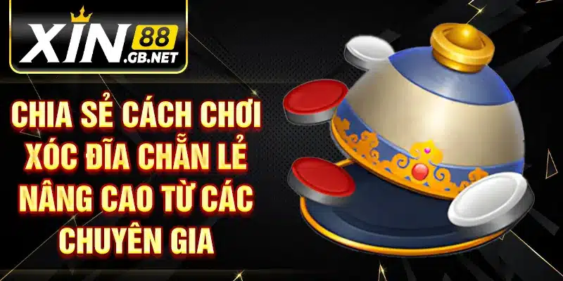 Chia sẻ cách chơi xóc đĩa chẵn lẻ nâng cao từ các chuyên gia