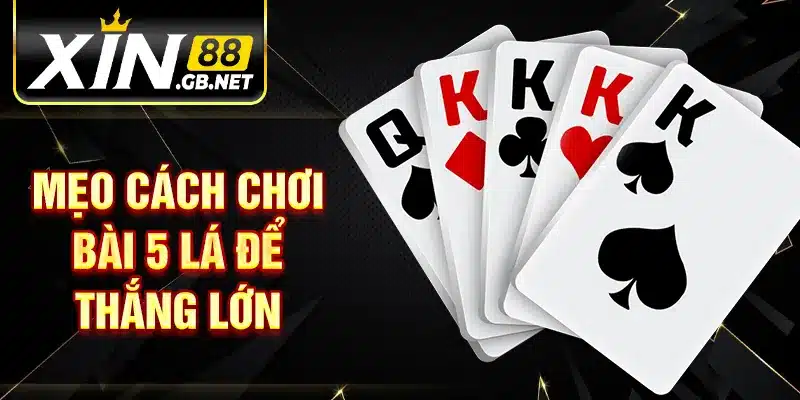 Mẹo cách chơi bài 5 lá để thắng lớn