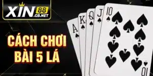 Cách Chơi Bài 5 Lá
