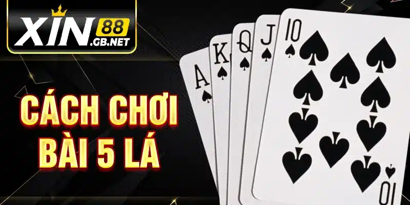 Cách Chơi Bài 5 Lá