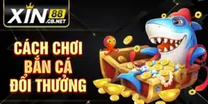 Cách Chơi Bắn Cá Đổi Thưởng