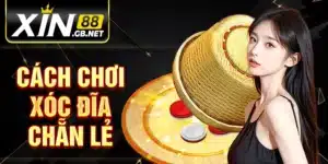 Cách Chơi Xóc Đĩa Chẵn Lẻ