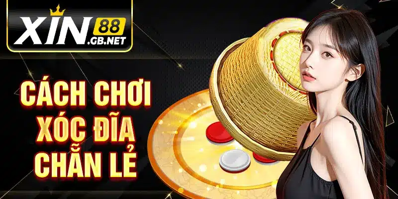 Cách Chơi Xóc Đĩa Chẵn Lẻ