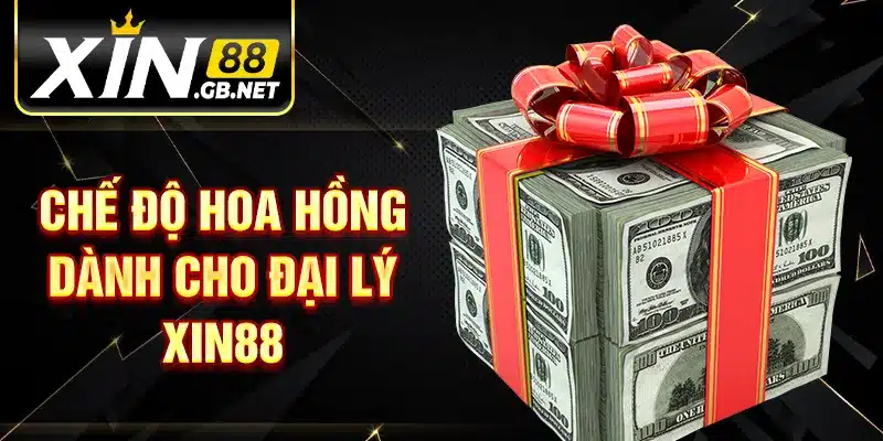 Chế độ hoa hồng dành cho đại lý XIN88