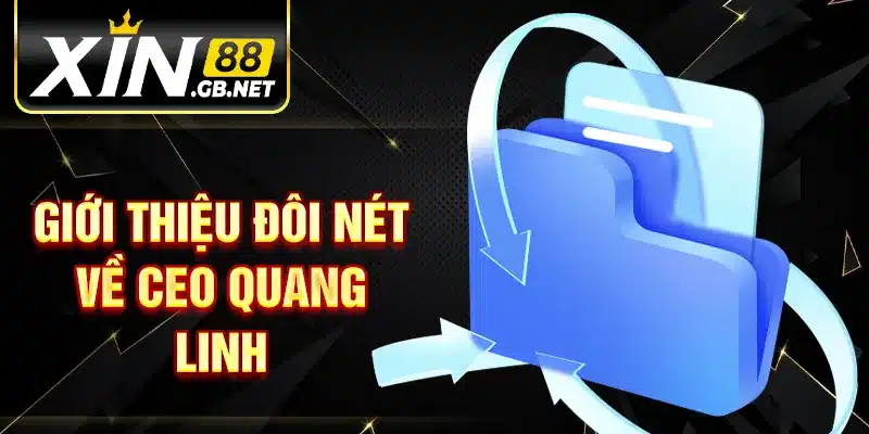 Giới thiệu đôi nét về CEO Quang Linh